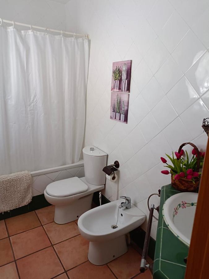 Chalet Trinquet Vinarós Zewnętrze zdjęcie